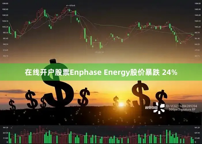 在线开户股票Enphase Energy股价暴跌 24%